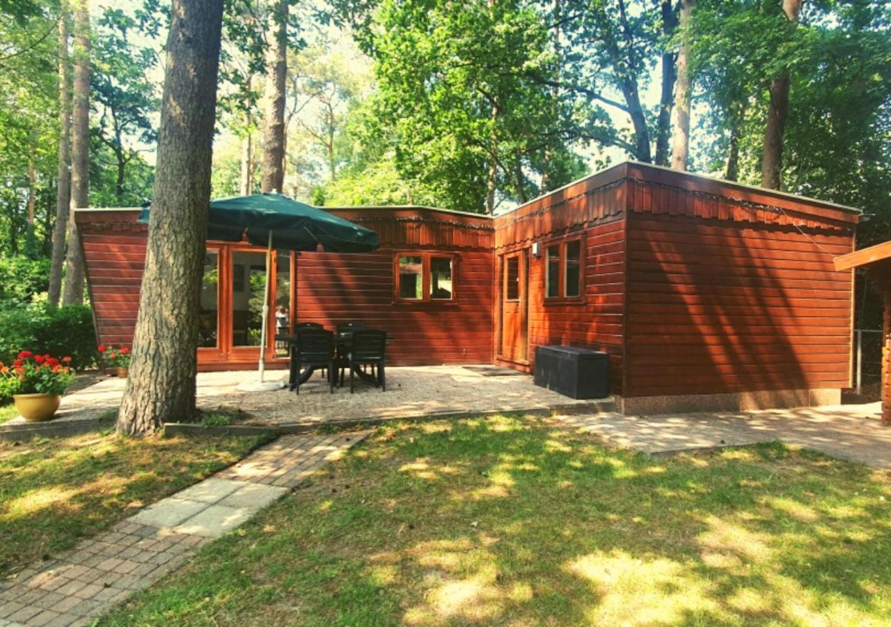 Chalet L2 Dennenrhode Doornspijk Exterior photo